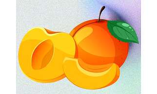 Apricot