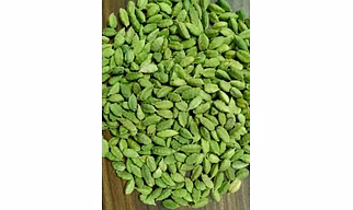 CARDAMOM