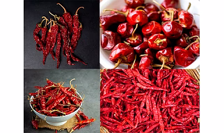 DRY RED CHILLI