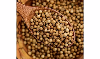 CORIANDER