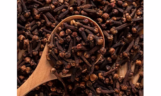 CLOVES