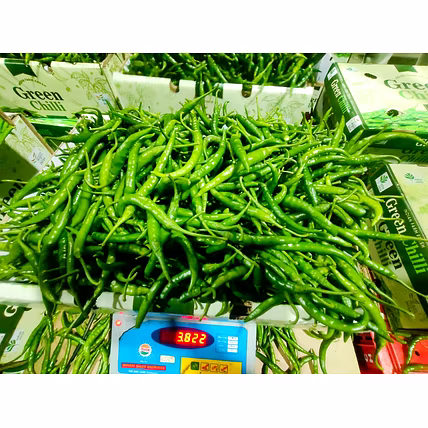 INDIAN GREEN CHILLI-2