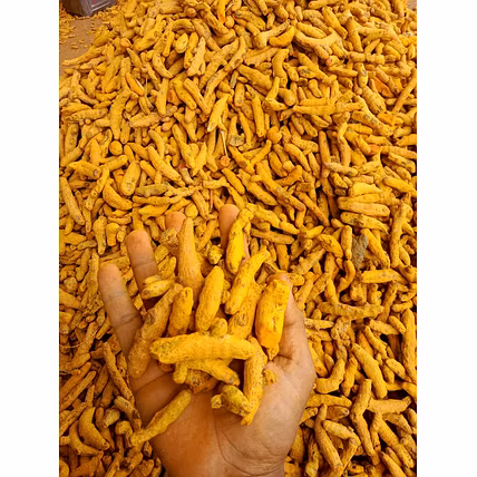 Turmeric fingers/ turmeric powder-2
