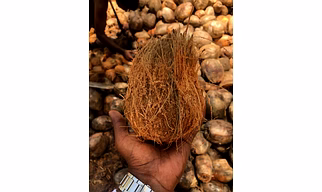 COCONUTS