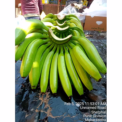 BANANA-12744895