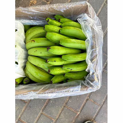 BANANA-1