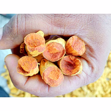 Turmeric fingers/ turmeric powder-1