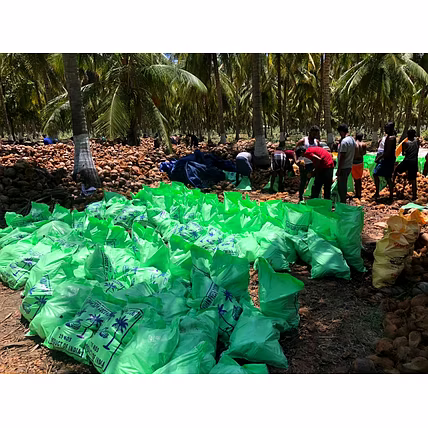 COCONUTS-1