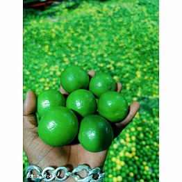lemon