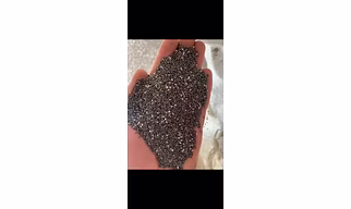 chia seeds