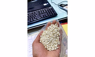 sunflower seeds