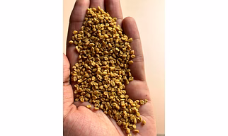 fenugreek seeds