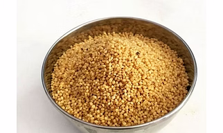 foxtail millet