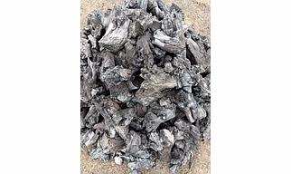 Wood Charcoal