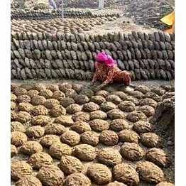 cow dung cake