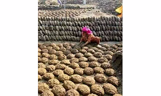 Cow dung cake