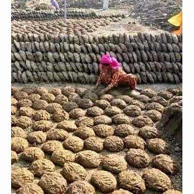 cow dung cake