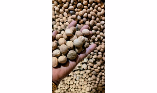 Organic Nutmeg
