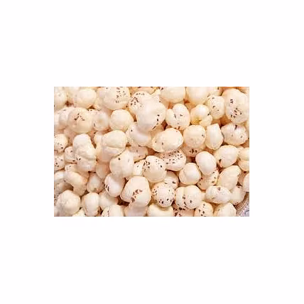 Foxnut Makahana-12730531
