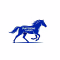 Payodhi Export-logo