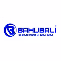 SHRI BARSANA E-VEHICLES PRIVATE LIMITED-logo