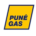 Pune Gas Systems Private Limited-logo