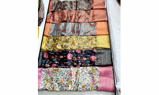 Pure banarasi organza