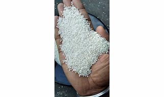 Broken rice 100%