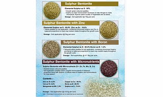 Sulphur Bentonite