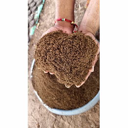cow dung manure