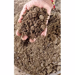cow dung & cow dung cake