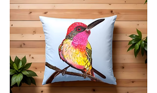 Cushion Cover