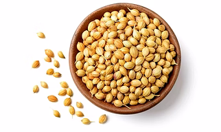 Coriander seeds Eagle plus Quality