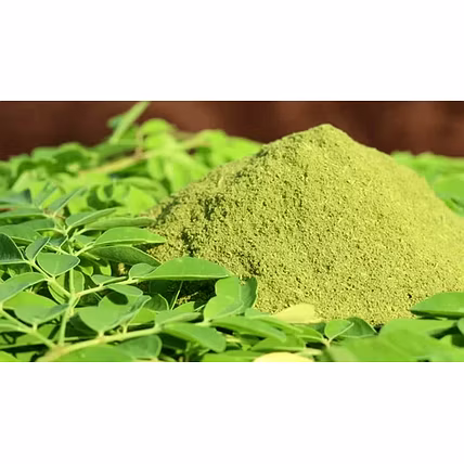 Moringa Leaves Powder-1