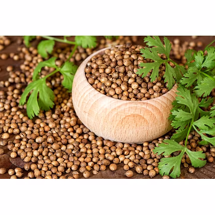 Coriander seeds Eagle plus Quality-1