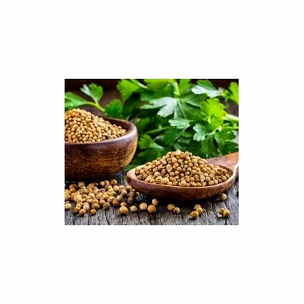 Coriander seeds Eagle plus Quality-2