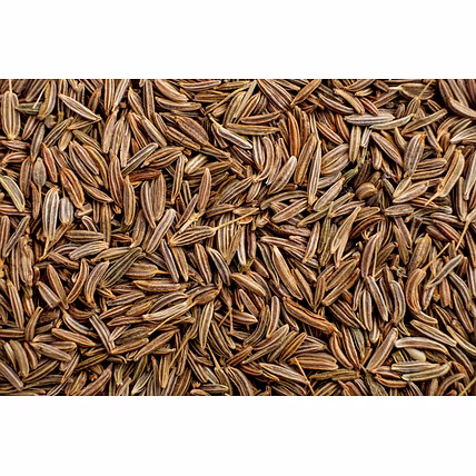 Cumin Seeds-1