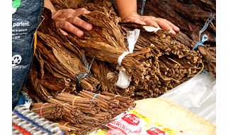 Tobacco refuse