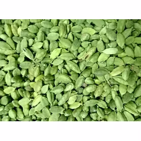 Cardamom