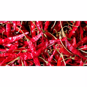 Dried Red Chilli 🌶