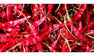 Dried Red Chilli 🌶