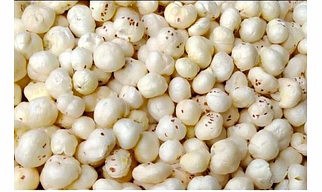 Phool Makhana