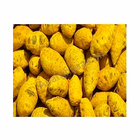 Turmeric Sticks