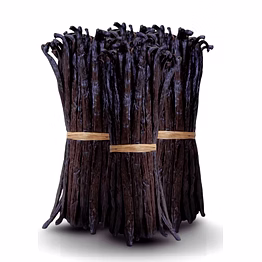 madagascar vanilla