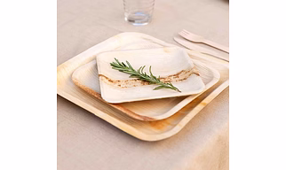 Areca leaf plates