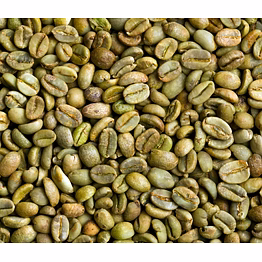 arabica coffee beans
