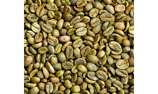 Arabica coffee Beans