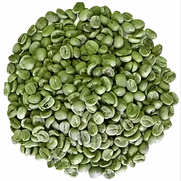 robusta coffee beans