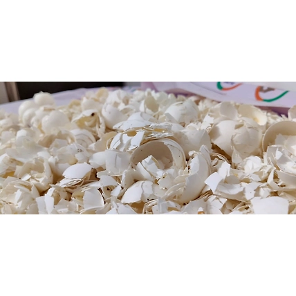 Eggshells Powder-1