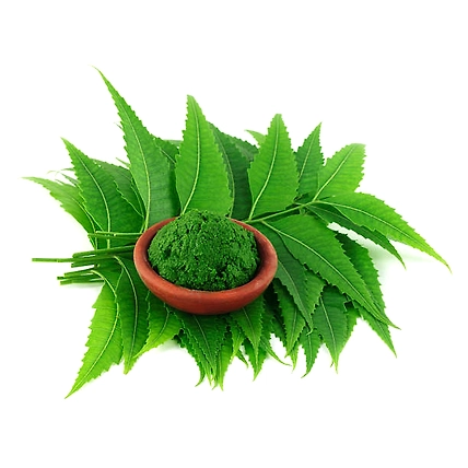 Neem Leaves Powder-1